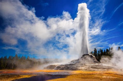 Yellowstone geyser gushes decades of old garbage