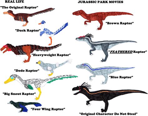 Diversity of Raptors by RickRaptor105 on DeviantArt