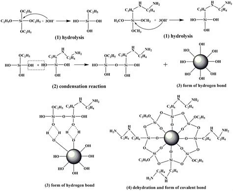 Modification mechanism of two silane coupling agent. (1) Hydrolysis ...