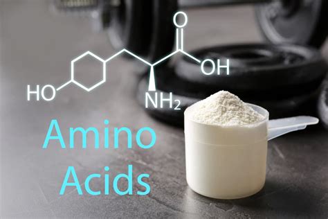 Your Guide to the Best Amino Acids for Muscle Growth