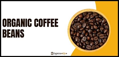 Organic Coffee Beans: What They Are and Why You Should Care - EspressoRivo