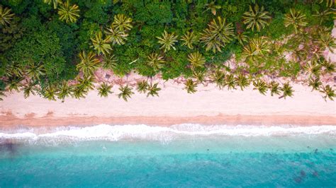 Tropical Beach Aerial View Wallpaper - Photo #22560 - Free 3D Models ...