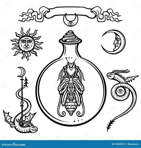 Set of Alchemical Symbols. Origin of Life. Mystical Entity in a Test ...