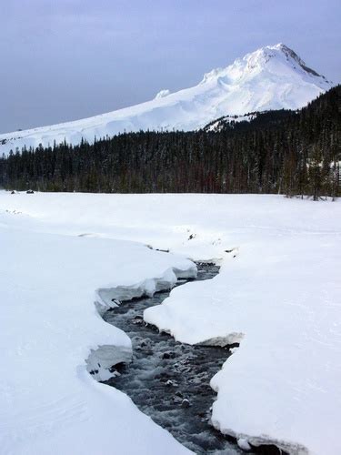 Mt Hood Meadows Ski Resort Guide | Snow-Forecast.com