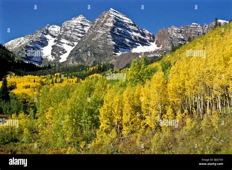 Fall colors highlight Maroon Bells Aspen Colorado USA Stock Photo - Alamy