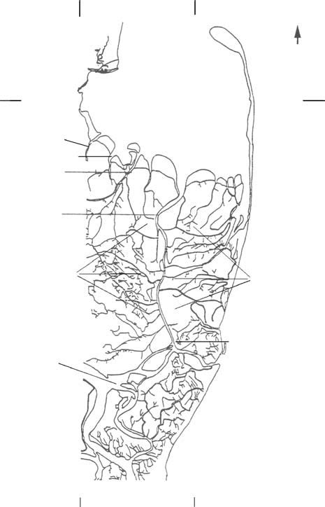 Map of the Godavari Delta with Gautami-Godavari river and its earlier ...