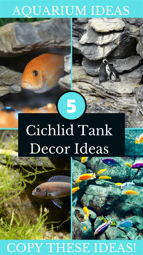 5 Tough Cichlid Tank Decor Ideas You Can Use! | TFCG