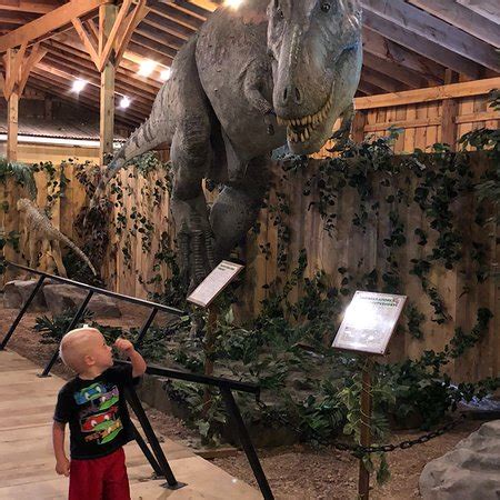 Dinosaur Museum (Rapid City) - 2019 All You Need to Know BEFORE You Go ...