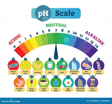 PH Acid Scale Vector Illustration Diagram with Acidic, Neutral and ...