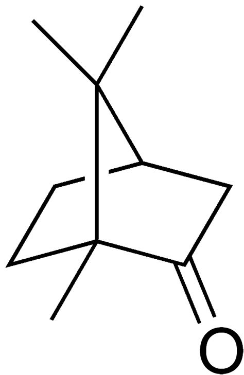 File:Camphor structure.png - Wikipedia