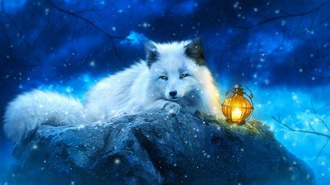 Cute Fox Anime Wallpapers - Wallpaper Cave