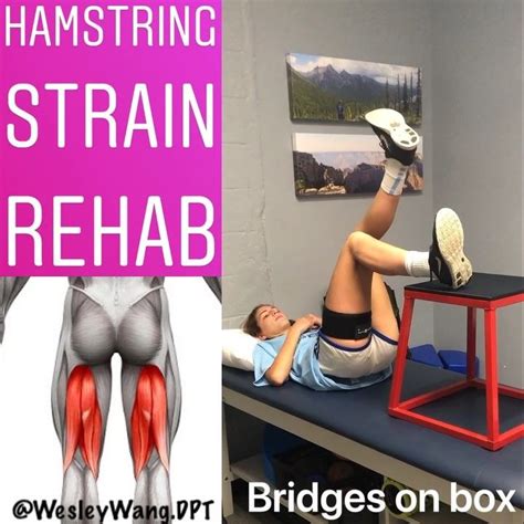 Hamstring Rehab: Effective Strategies for Muscle Strains