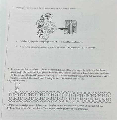 [Solved]: 8. The image below represents the 3D protein stru