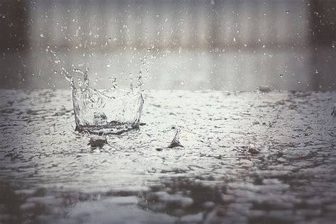 Photographing in the Rain: 8 Things to Photograph on Rainy Days