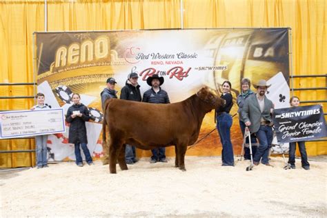 Western National Red Angus Show - Western States Red Angus Association ...