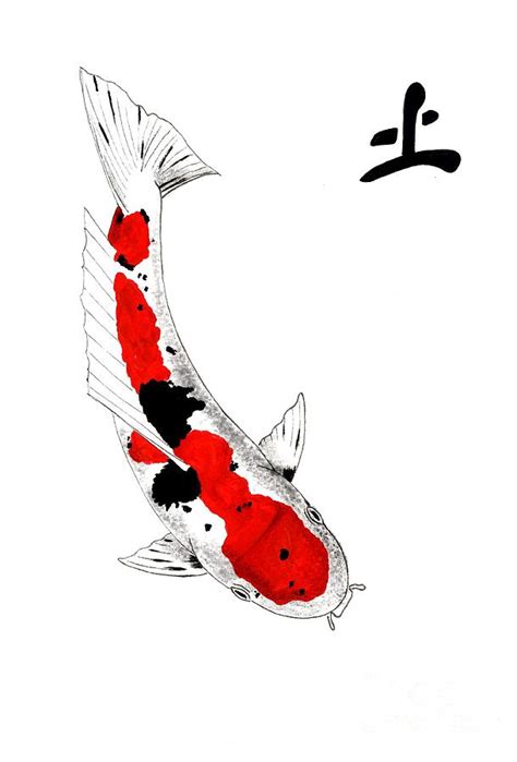 Japanese Koi Art Paintings