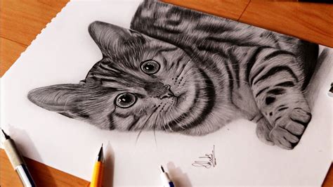 Aggregate more than 70 cat sketch realistic best - seven.edu.vn