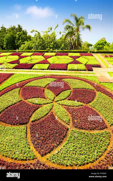 The Madeira Botanical Garden - Funchal, Madeira Island, Portugal Stock ...