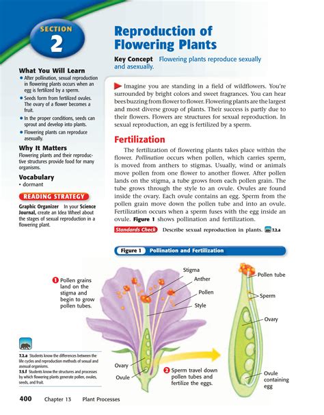 SOLUTION: Reproduction in plant - Studypool