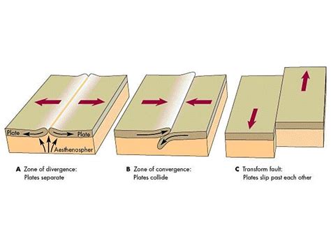 Tectonic Plate Movement Diagram