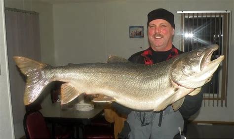 Minnesota Angler Reels in Massive Lake Trout in Ontario | OutdoorHub