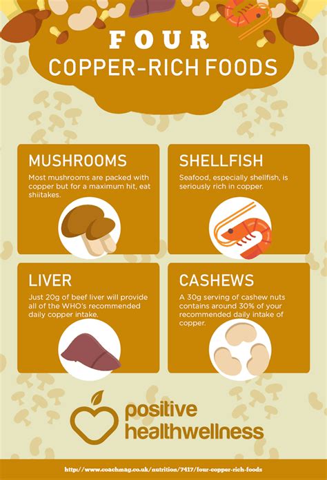 Four Copper-Rich Foods – Infographic – Positive Health Wellness