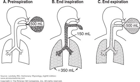 Apex lung alveolar dead space - opiazoqa