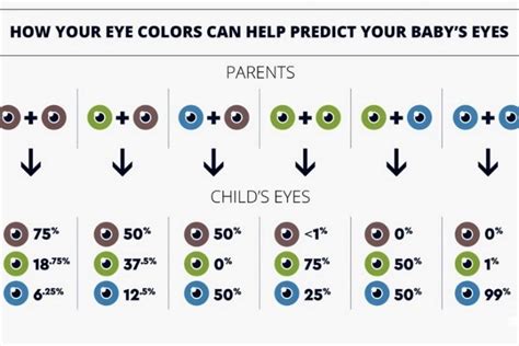 What Are Hazel Eyes? What Color Are They? - Skin Care Geeks