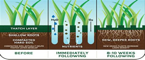 Benefits Of Lawn Aeration | O'Neill Landscape Group