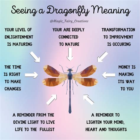 Dragonfly symbolism meaning plus dragonfly as a spirit totem power ...