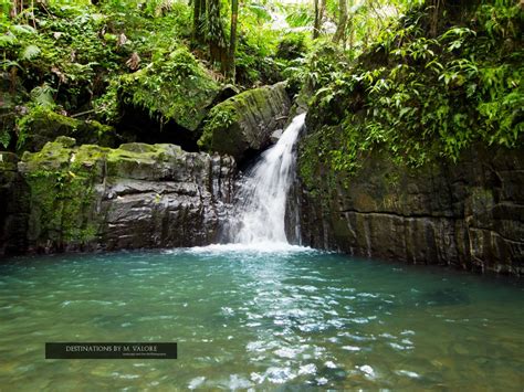 Puerto Rico, El Yunque Rainforest | El yunque rainforest, Puerto rico ...