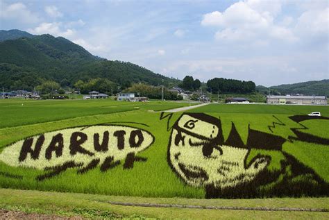 Japanese Town Transforms Rice Paddy Fields Into Gigantic Works Of Art ...