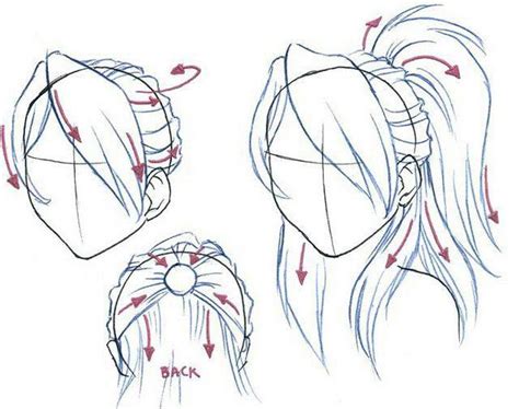 How To Draw A High Ponytail Front View