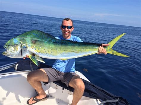 Stuart Florida Fishing Report: Stuart fishing report, large dolphin and ...