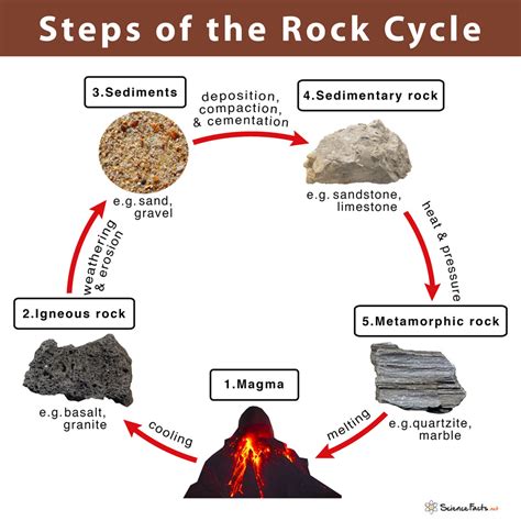 Sedimentary Rock Cycle Diagram