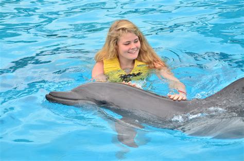 Where to swim with dolphins in Riviera Maya | Dolphinaris