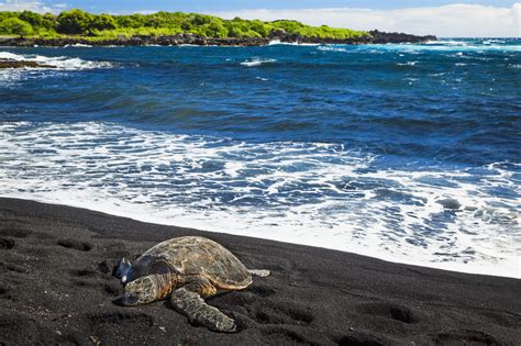 20 Best Black Sand Beaches in the World - Volcanic Sand Beaches to Visit