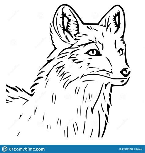 Outline Arctic Fox Head Royalty-Free Cartoon | CartoonDealer.com #273039242