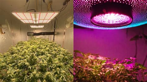 GROW LIGHTS: Illuminating Your Path to Successful Indoor Gardening ...