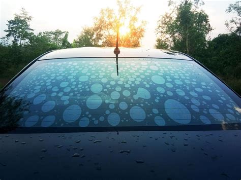 5 Different Types of Car Window Tint Explained