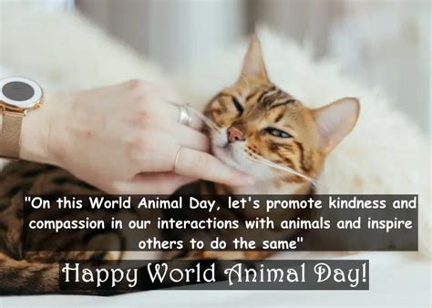 World Animal Day Quotes In English