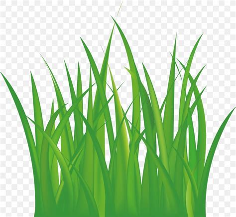 Grassland Euclidean Vector, PNG, 2150x1979px, 2d Computer Graphics ...