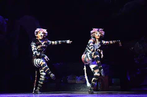 cats the musical inside broadway | NYMetroParents