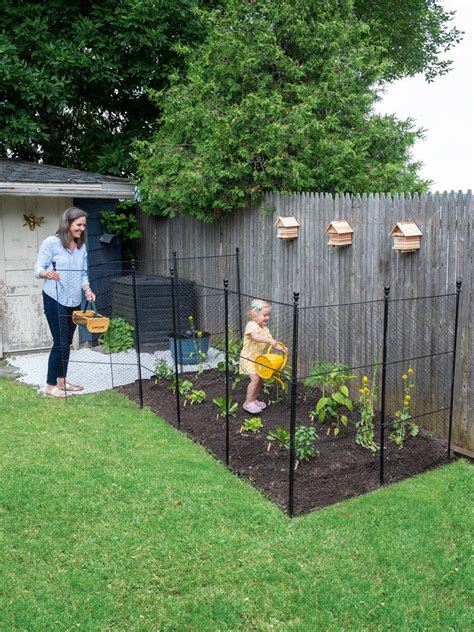 Tall Chicken Wire Critter Fence with Gate | Fenced vegetable garden ...