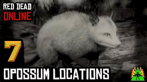 Rdr2 perfect opossum location