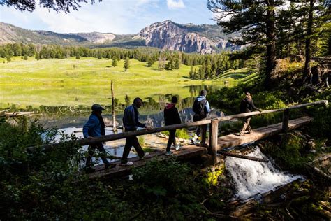 12 Day Hikes in Yellowstone