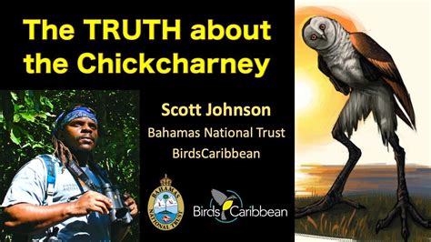 The Truth About the Chickcharney - YouTube