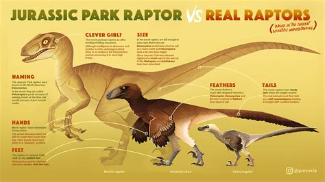 Velociraptor Size Comparison Jurassic Park