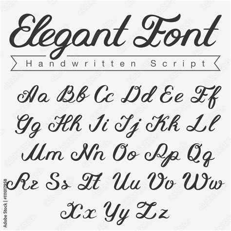 Elegant Handwritten Calligraphy Script Font design vector Stock Vector ...