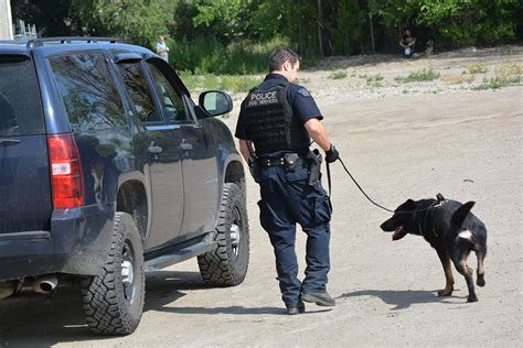 RCMP dogs track repeat offenders after break-in in Oliver ...